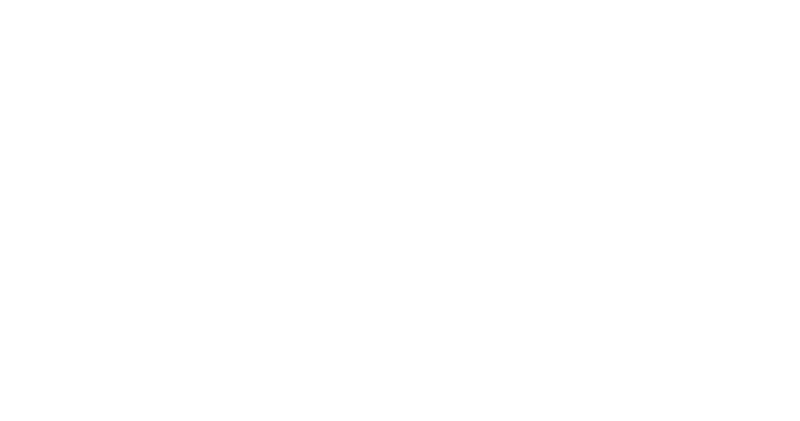  Stemma Fondazione Teatro del Maggio Musicale Fiorentino